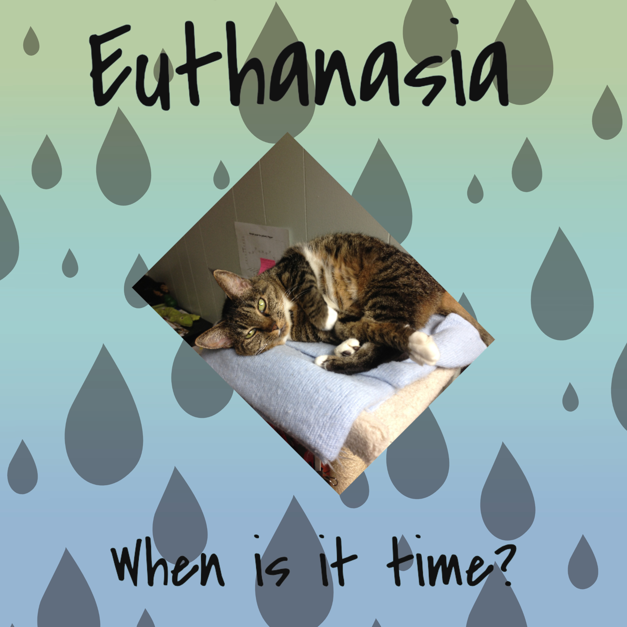 Euthanasia-when-is-it-time
