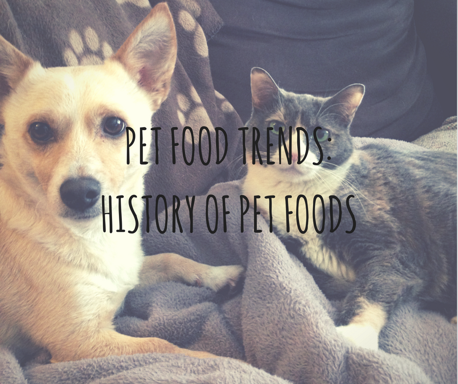 History of pet food