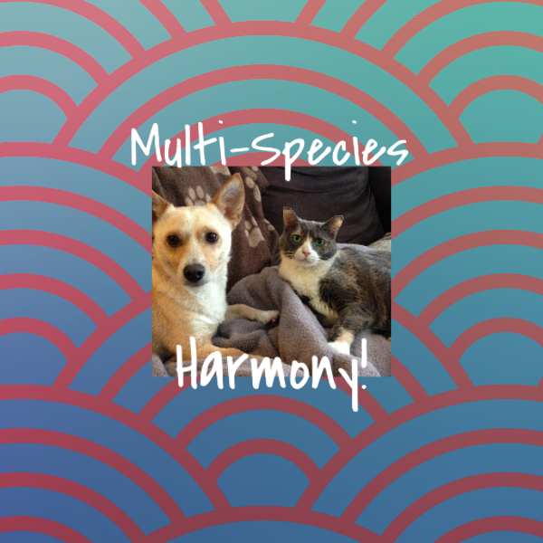 Multi-species harmony